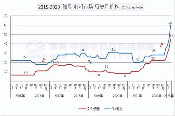 亳州人流价格(亳州人流价格表)